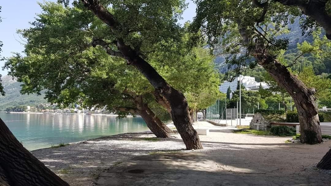 Apartmants Villa Lungo Mare Živogošće Exterior foto